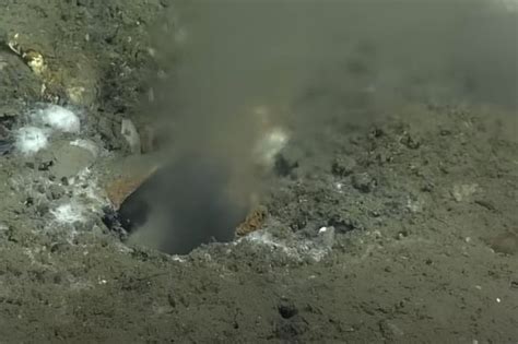 leak in pacific ocean|Scientists Discover Leak in the Bottom of the Ocean